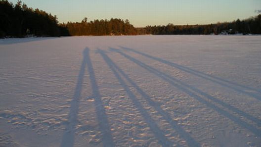 On a winter day, the low angle of the sun makes interesting shadows © C. Downes