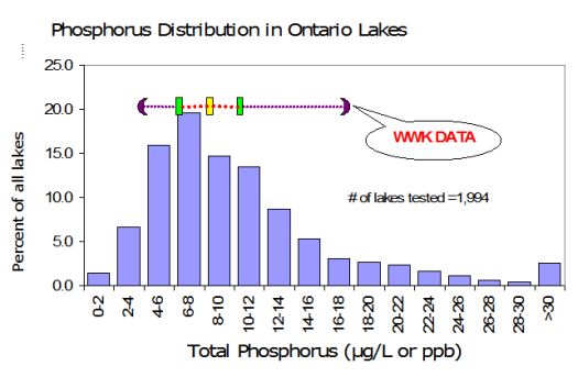 Phosphorous levels in Ontario lakes